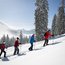 Vier Personen beim Schneeschuhwandern auf verschneitem Abhang im Wald