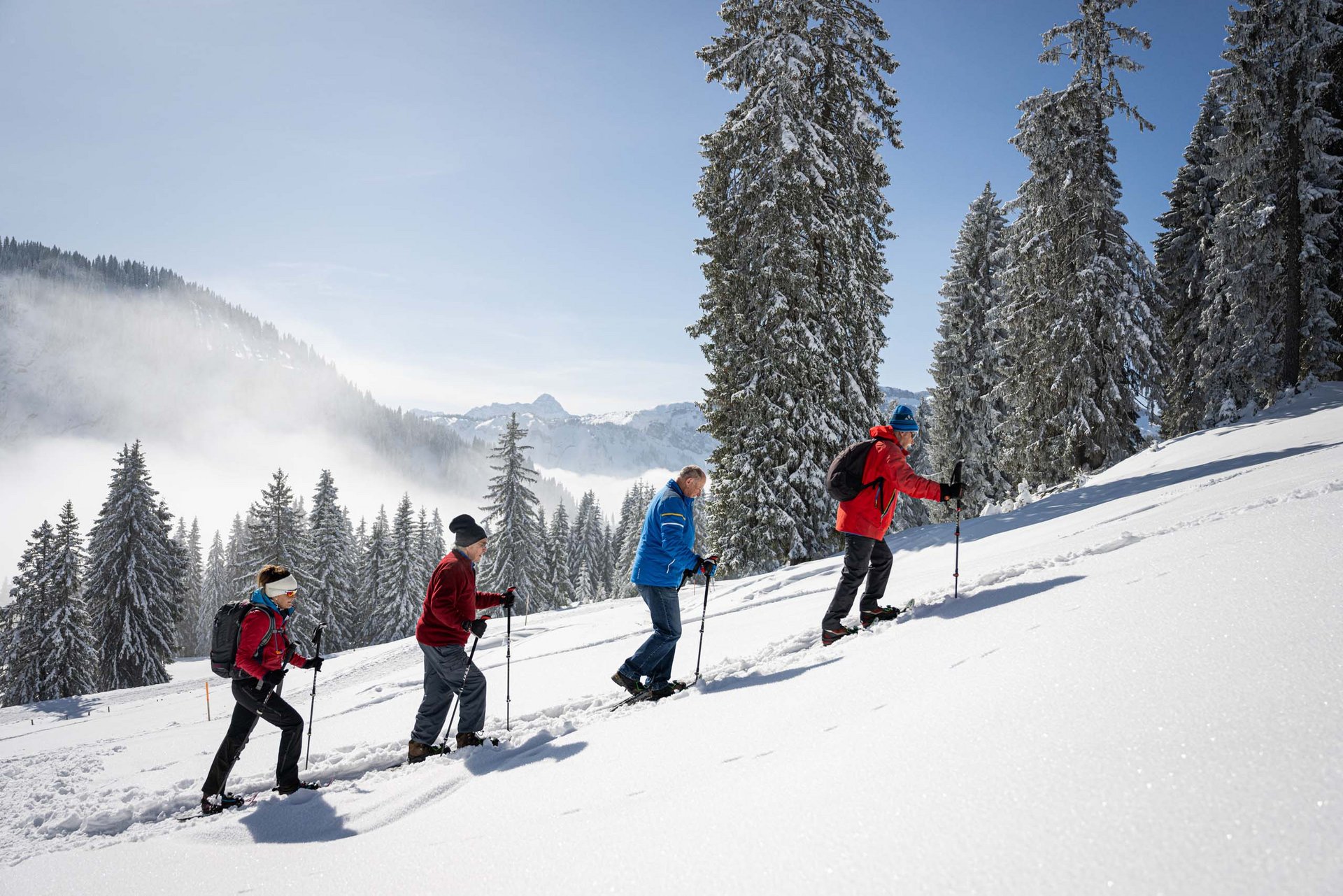 Ihre Bergmomente in Oberstdorf Vier Personen beim Schneeschuhwandern auf verschneitem Abhang im Wald