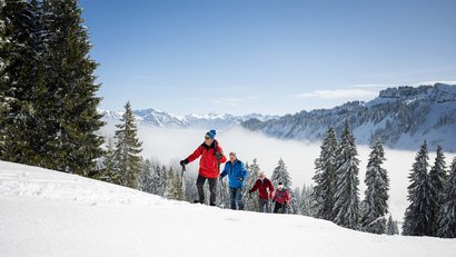Vier ältere Personen wandern im Schnee mit Bergpanorama und Tannenbäumen