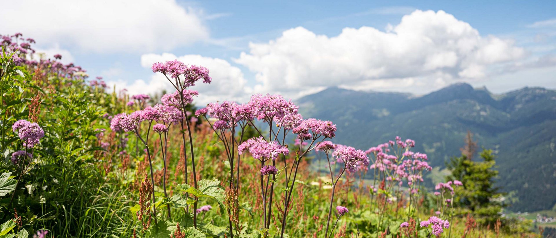 Ihre Bergmomente in Oberstdorf