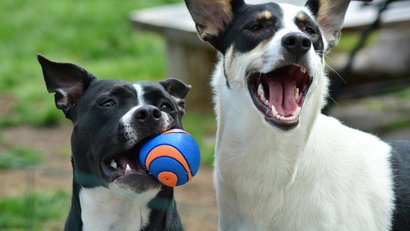 Ihre Bergmomente in Oberstdorf
