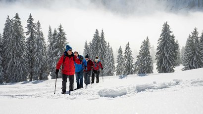 Vier Personen wandern mit Stöcken durch verschneite Winterlandschaft mit Tannenbäumen