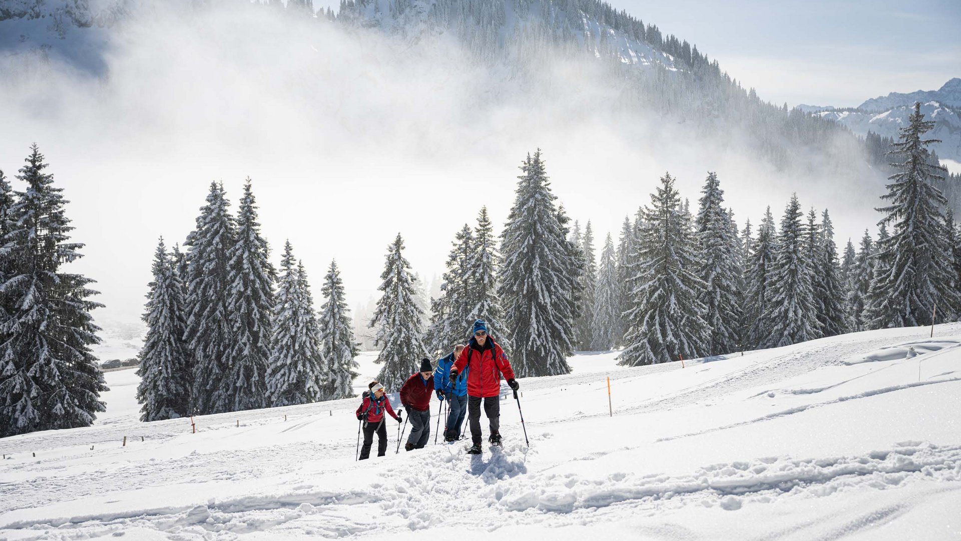 Vier Menschen wandern mit Stöcken durch verschneite Berglandschaft